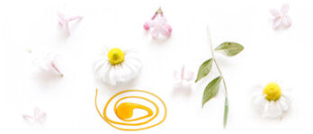 honning på et bord med kamilleblomster