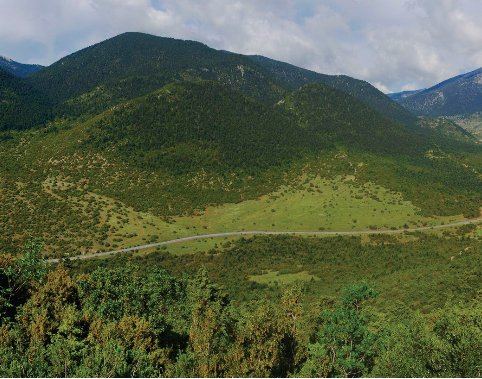 Foto af grønt bjerglandskab