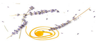 Honning på bord med lavendel kviste